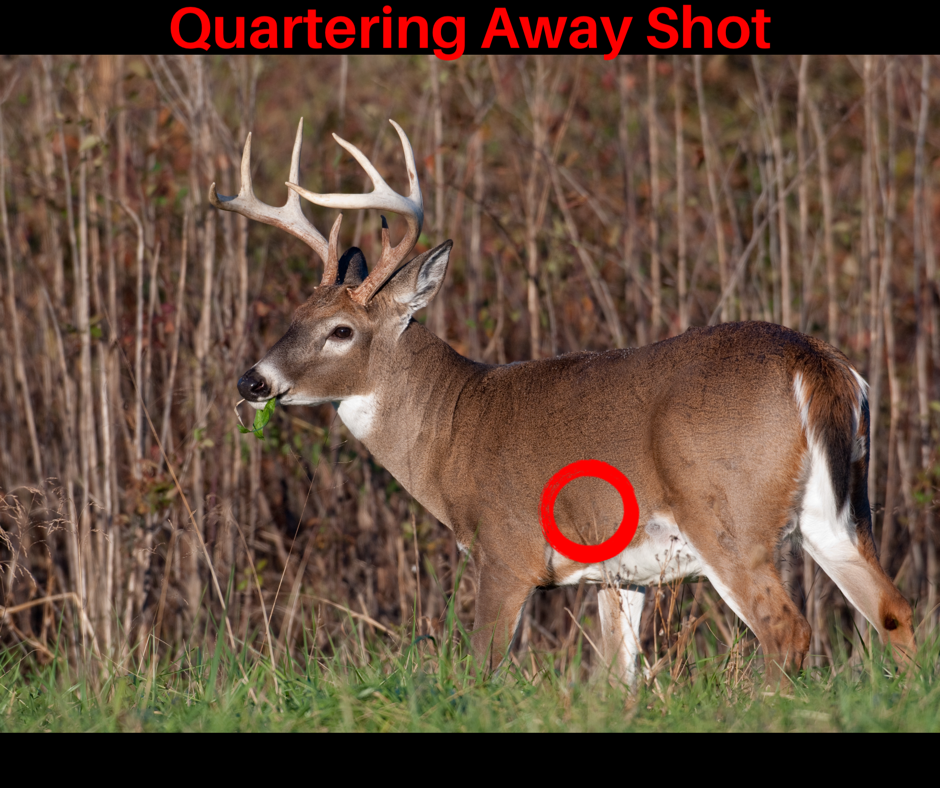 The Best Shot Placement To Hit Deer Vitals Every time Never Miss