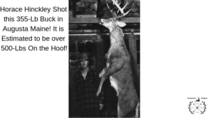 whitetail heaviest killed lenander maine buck jr