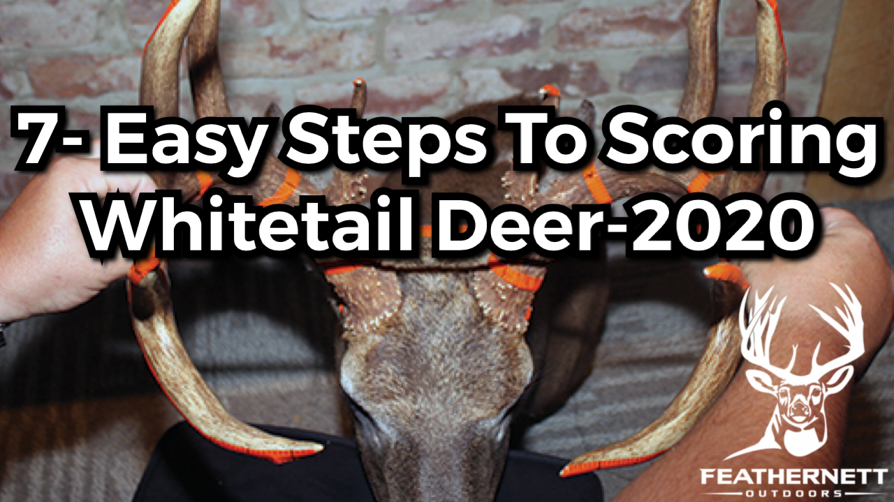 Scoring Your Trophy: non-typical whitetail deer